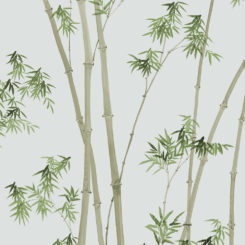 bamboo-260101