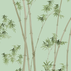 bamboo-260105