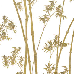 bamboo-260106
